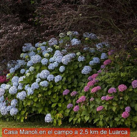 Almuña Casa Manoli Luarca旅馆 外观 照片