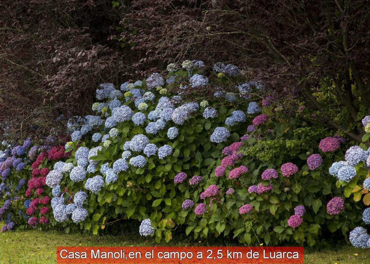 Almuña Casa Manoli Luarca旅馆 外观 照片
