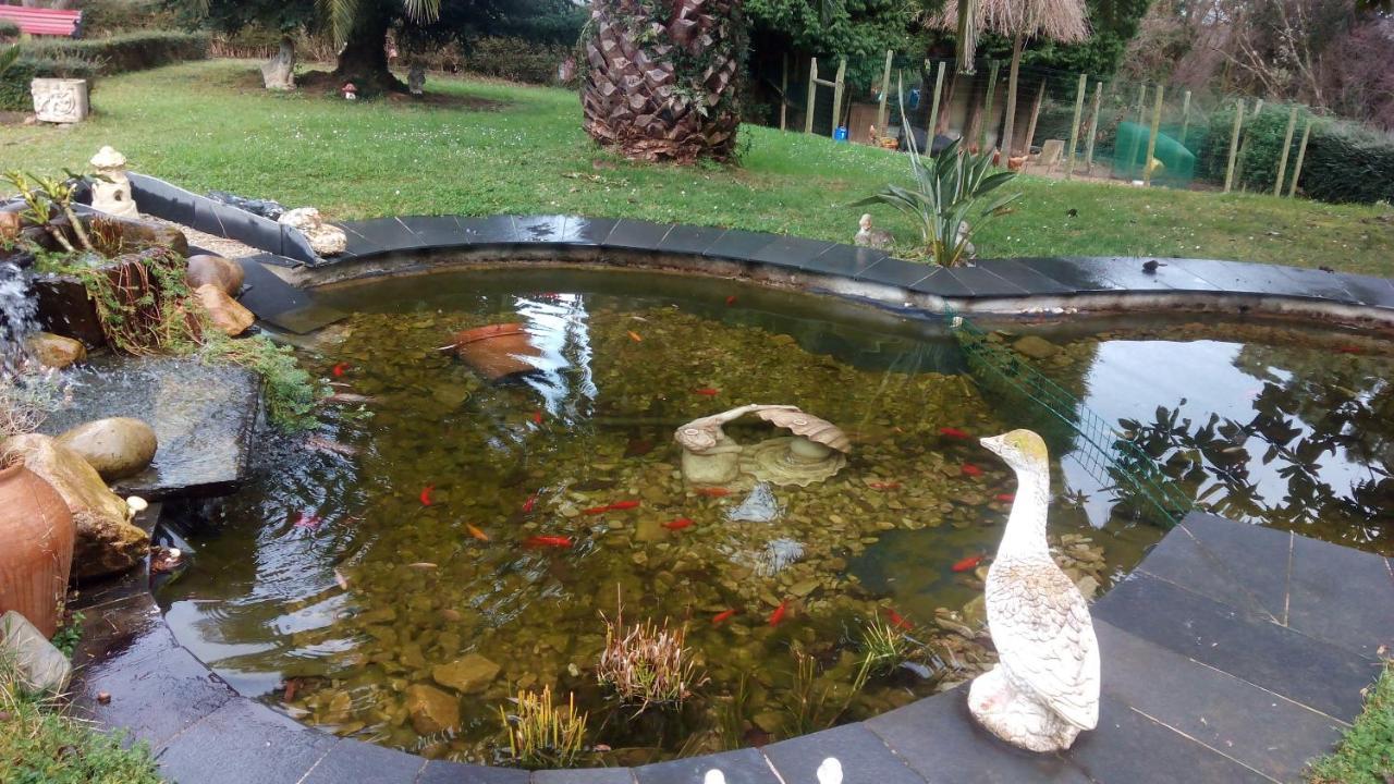 Almuña Casa Manoli Luarca旅馆 外观 照片